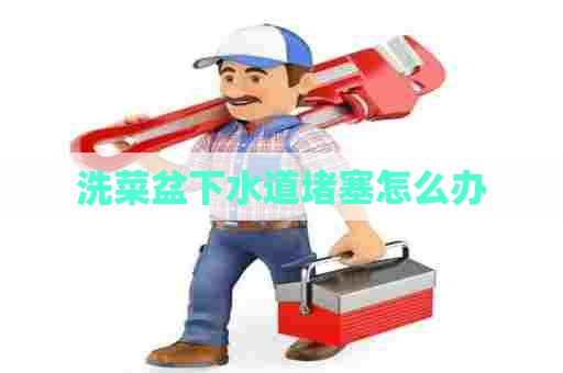 洗菜盆下水道堵塞怎么办
