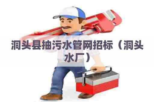 洞头县抽污水管网招标（洞头水厂）