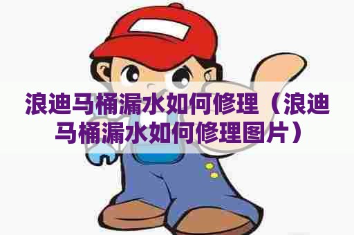 浪迪马桶漏水如何修理(浪迪马桶漏水如何修理图片) 浪迪马桶漏水如何修理(浪迪马桶漏水如何修理图片)