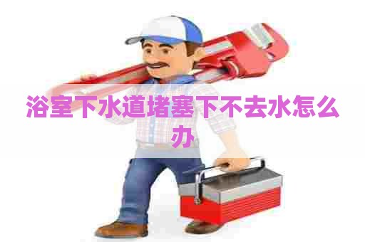 浴室下水道堵塞下不去水怎么办