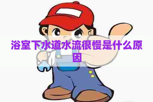 浴室下水道水流很慢是什么原因 浴室下水道水流很慢是什么原因