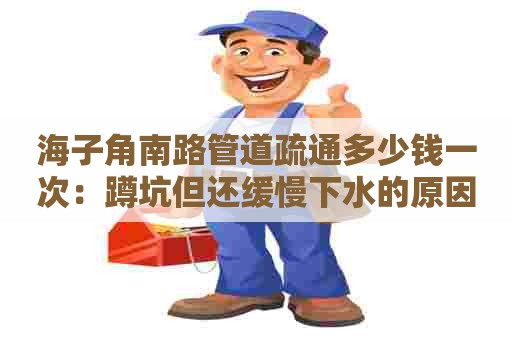 海子角南路管道疏通多少钱一次：蹲坑但还缓慢下水的原因
