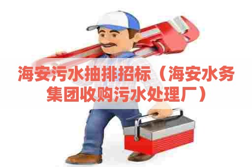 海安污水抽排招标（海安水务集团收购污水处理厂）