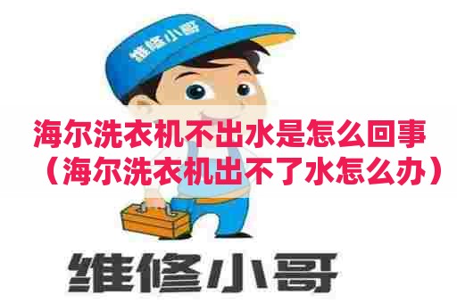 海尔洗衣机不出水是怎么回事（海尔洗衣机出不了水怎么办）