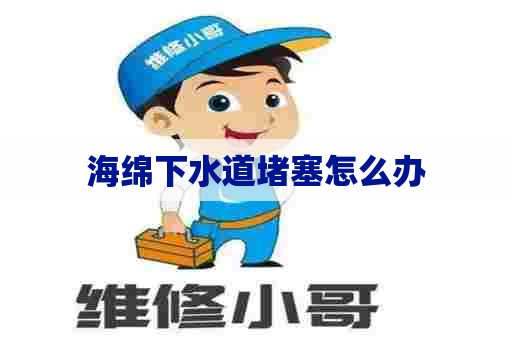 海绵下水道堵塞怎么办 海绵下水道堵塞怎么办