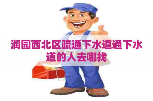 润园西北区疏通下水道通下水道的人去哪找