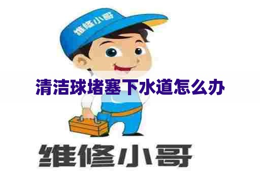 清洁球堵塞下水道怎么办