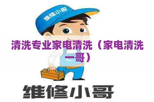 清洗专业家电清洗（家电清洗一哥）