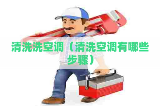 清洗洗空调（清洗空调有哪些步骤）