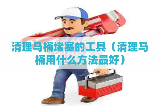 清理马桶堵塞的工具（清理马桶用什么方法最好）