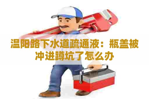 温阳路下水道疏通液:瓶盖被冲进蹲坑了怎么办 温阳路下水道疏通液:瓶盖被冲进蹲坑了怎么办