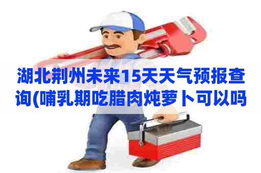 湖北荆州未来15天天气预报查询(哺乳期吃腊肉炖萝卜可以吗)