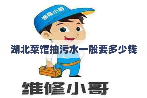 湖北菜馆抽污水一般要多少钱