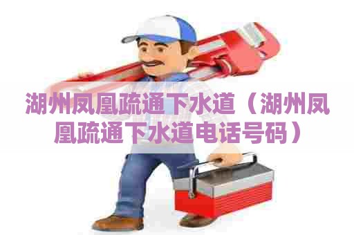 湖州凤凰疏通下水道(湖州凤凰疏通下水道电话号码) 湖州凤凰疏通下水道(湖州凤凰疏通下水道电话号码)