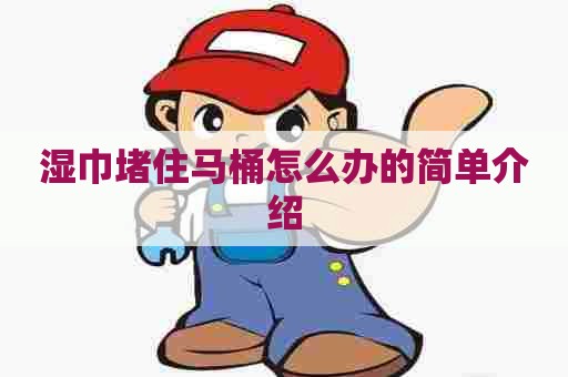 湿巾堵住马桶怎么办的简单介绍