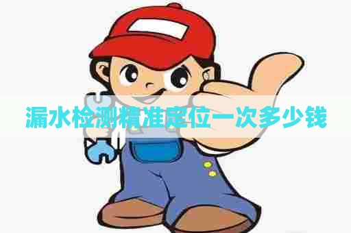 漏水检测精准定位一次多少钱