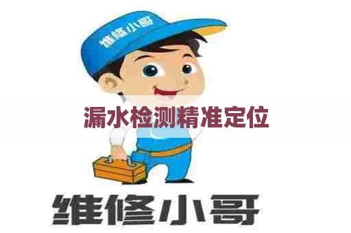 漏水检测精准定位