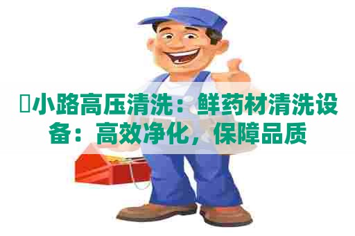 漷小路高压清洗：鲜药材清洗设备：高效净化，保障品质