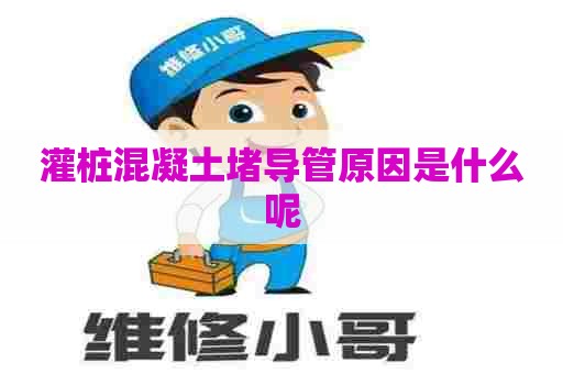 灌桩混凝土堵导管原因是什么呢