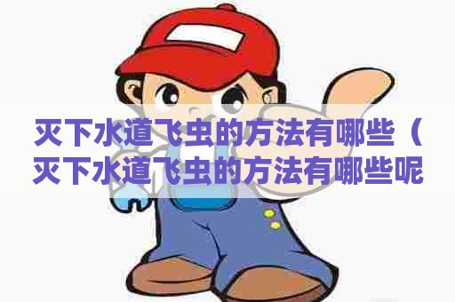 灭下水道飞虫的方法有哪些(灭下水道飞虫的方法有哪些呢) 灭下水道飞虫的方法有哪些(灭下水道飞虫的方法有哪些呢)