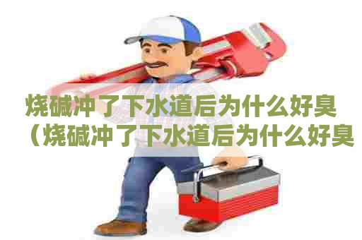 烧碱冲了下水道后为什么好臭(烧碱冲了下水道后为什么好臭啊) 烧碱冲了下水道后为什么好臭(烧碱冲了下水道后为什么好臭啊)