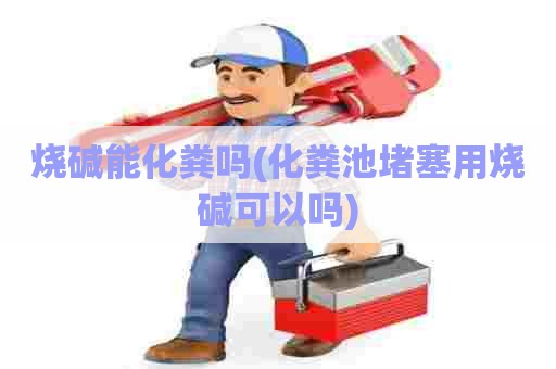 烧碱能化粪吗(化粪池堵塞用烧碱可以吗) 烧碱能化粪吗(化粪池堵塞用烧碱可以吗)