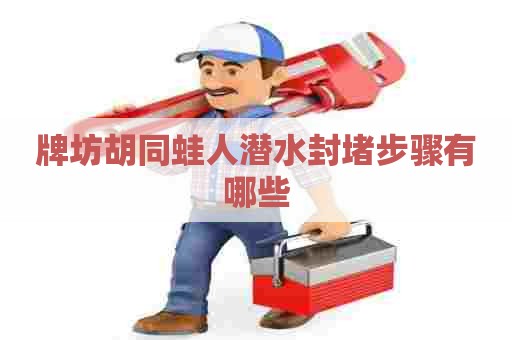 牌坊胡同蛙人潜水封堵步骤有哪些 牌坊胡同蛙人潜水封堵步骤有哪些