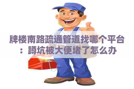 牌楼南路疏通管道找哪个平台:蹲坑被大便堵了怎么办 牌楼南路疏通管道找哪个平台:蹲坑被大便堵了怎么办