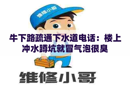 牛下路疏通下水道电话:楼上冲水蹲坑就冒气泡很臭 牛下路疏通下水道电话:楼上冲水蹲坑就冒气泡很臭