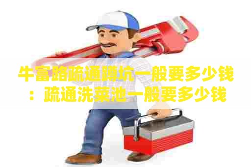 牛富路疏通蹲坑一般要多少钱:疏通洗菜池一般要多少钱 牛富路疏通蹲坑一般要多少钱:疏通洗菜池一般要多少钱