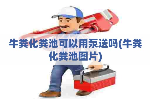 牛粪化粪池可以用泵送吗(牛粪化粪池图片)