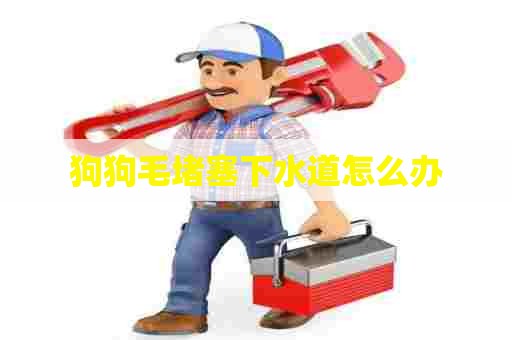 狗狗毛堵塞下水道怎么办