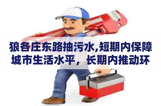 狼各庄东路抽污水,短期内保障城市生活水平，长期内推动环境可持续发展，污水抽取行业要如何应对？