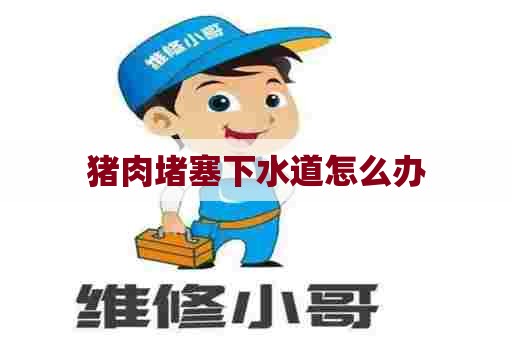 猪肉堵塞下水道怎么办