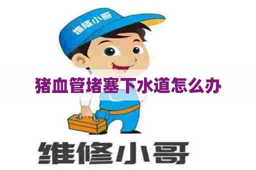 猪血管堵塞下水道怎么办