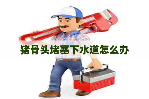 猪骨头堵塞下水道怎么办