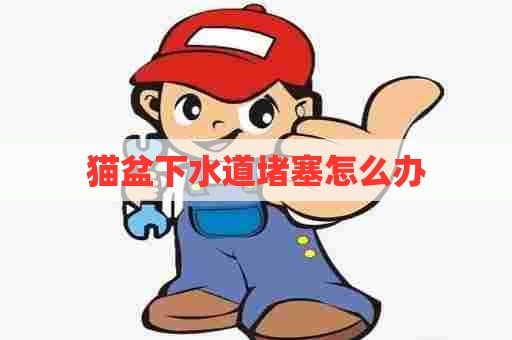 猫盆下水道堵塞怎么办 猫盆下水道堵塞怎么办