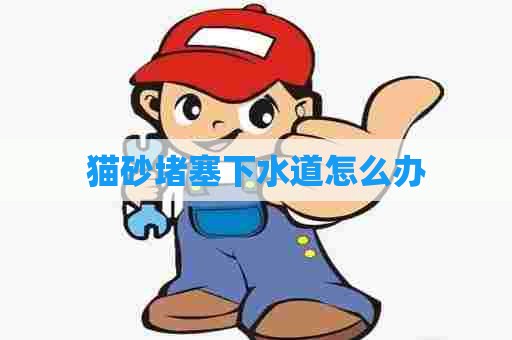 猫砂堵塞下水道怎么办