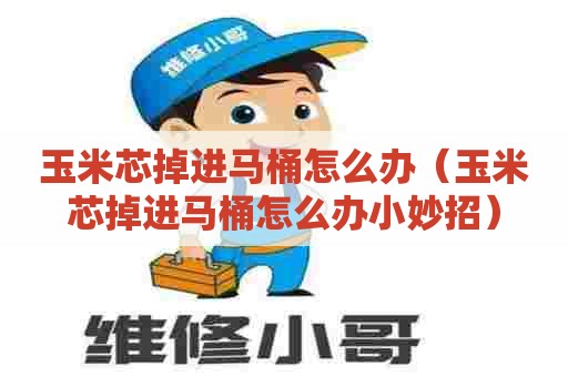 玉米芯掉进马桶怎么办(玉米芯掉进马桶怎么办小妙招) 玉米芯掉进马桶怎么办(玉米芯掉进马桶怎么办小妙招)