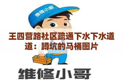 王四营路社区疏通下水下水道道：蹲坑的马桶图片