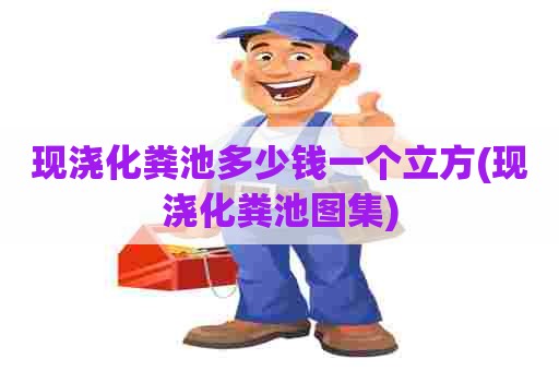 现浇化粪池多少钱一个立方(现浇化粪池图集)