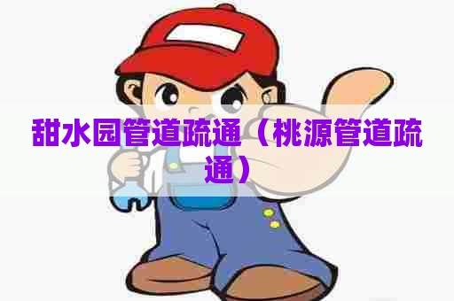 甜水园管道疏通（桃源管道疏通）