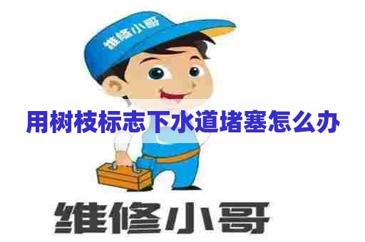 用树枝标志下水道堵塞怎么办