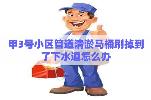 甲3号小区管道清淤马桶刷掉到了下水道怎么办