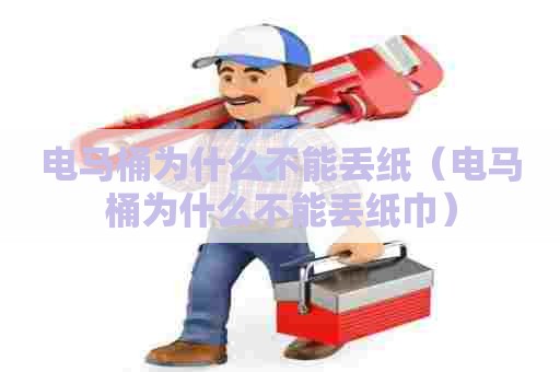 电马桶为什么不能丢纸（电马桶为什么不能丢纸巾）