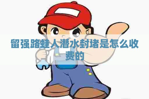 留强路蛙人潜水封堵是怎么收费的 留强路蛙人潜水封堵是怎么收费的