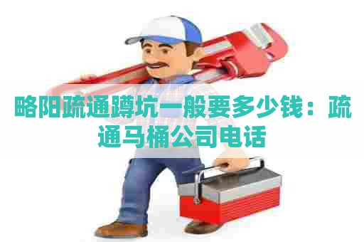 略阳疏通蹲坑一般要多少钱:疏通马桶公司电话 略阳疏通蹲坑一般要多少钱:疏通马桶公司电话