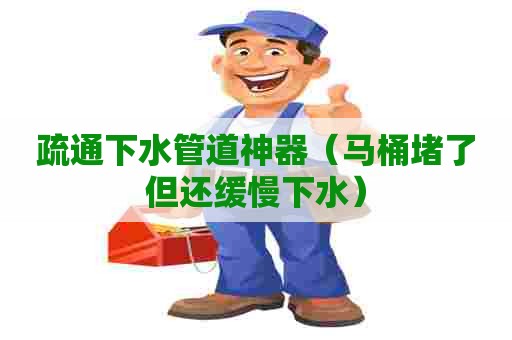 疏通下水管道神器（马桶堵了但还缓慢下水）