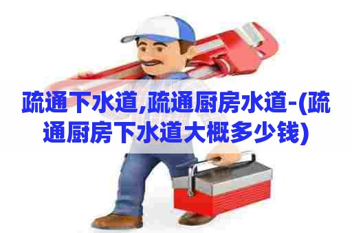 疏通下水道,疏通厨房水道-(疏通厨房下水道大概多少钱)