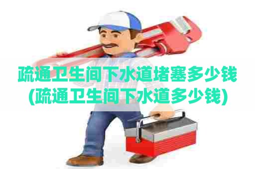 疏通卫生间下水道堵塞多少钱(疏通卫生间下水道多少钱)